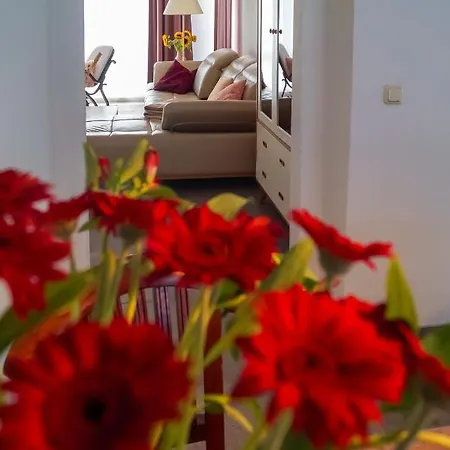 Ferien Unnern Appelboom Apartment