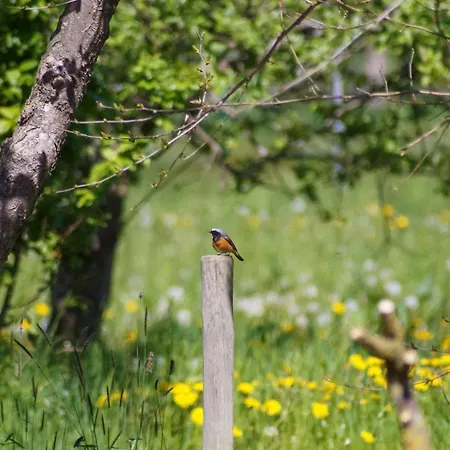 Apartment Ferien Unnern Appelboom Gross Kordshagen