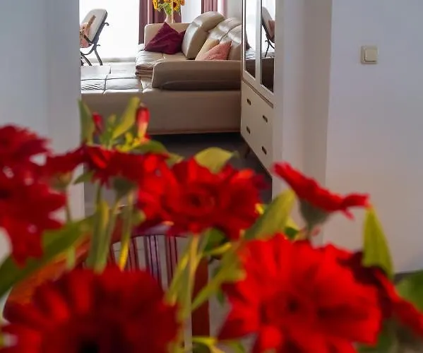 Ferien Unnern Appelboom Apartmán