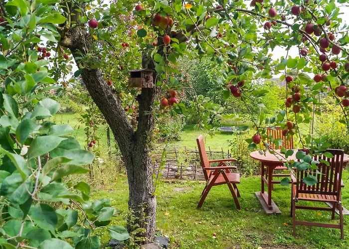 Ferien Unnern Appelboom Apartmán Gross Kordshagen