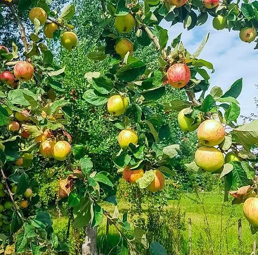 Apartmán Ferien Unnern Appelboom