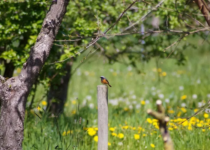 Apartmán Ferien Unnern Appelboom Gross Kordshagen